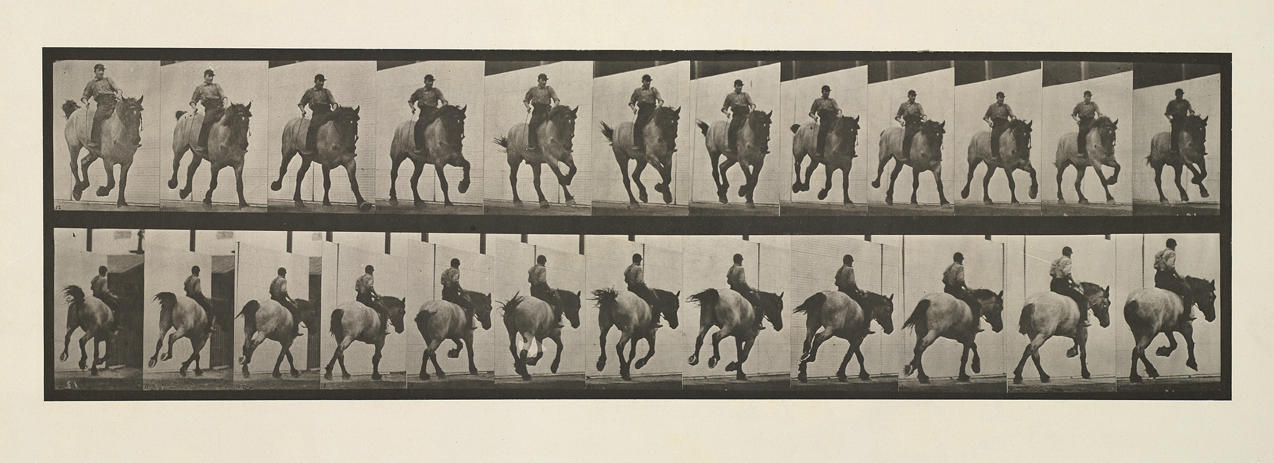 A series of black and white photos show a man riding a horse
