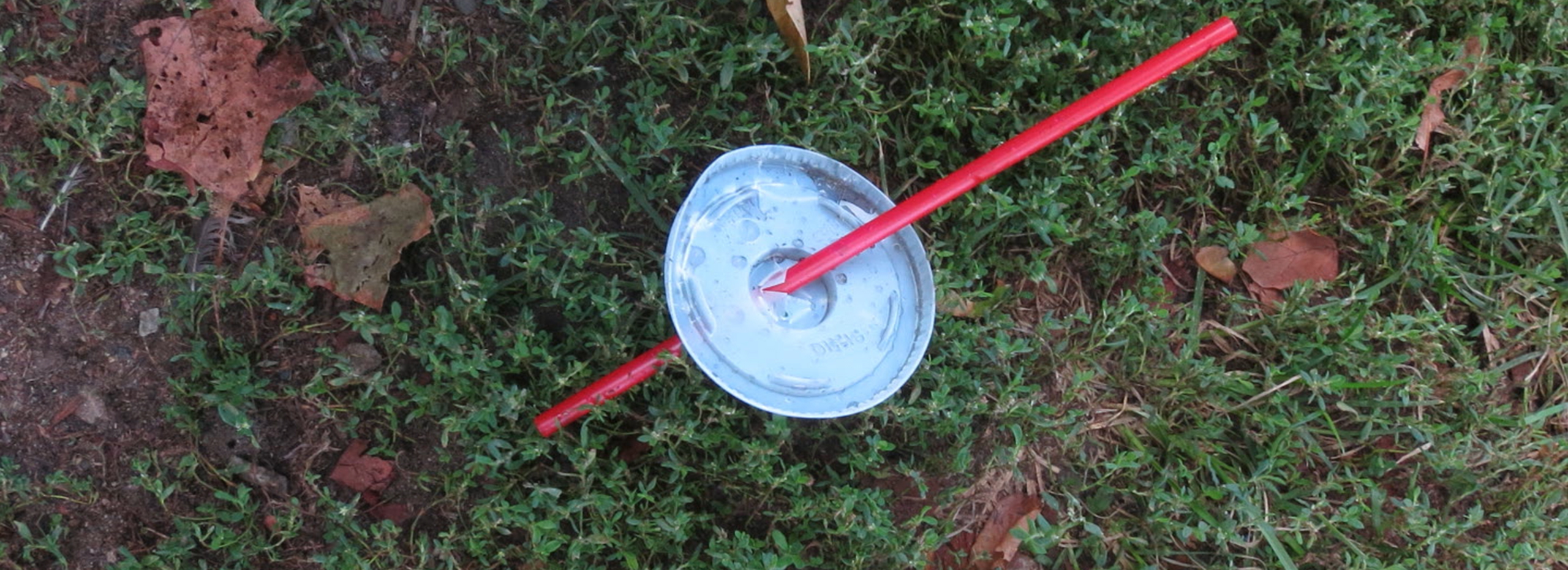 A white plastic cup lid pierced by a red plastic straw lies discarded on the green grass