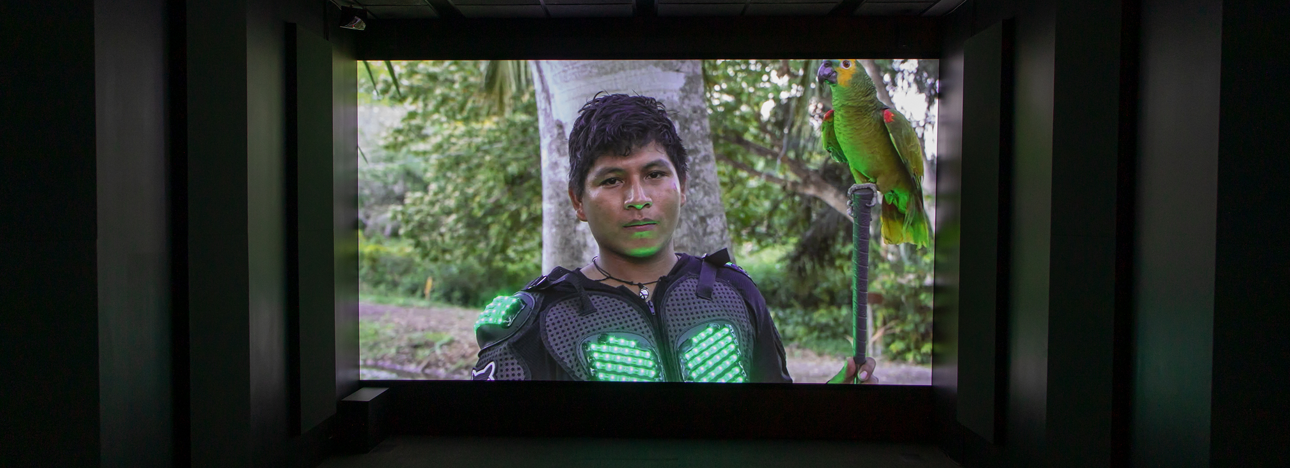 A projected image of a young Chilean man wearing a glowing green vest while standing near a tree and a bright green tucan
