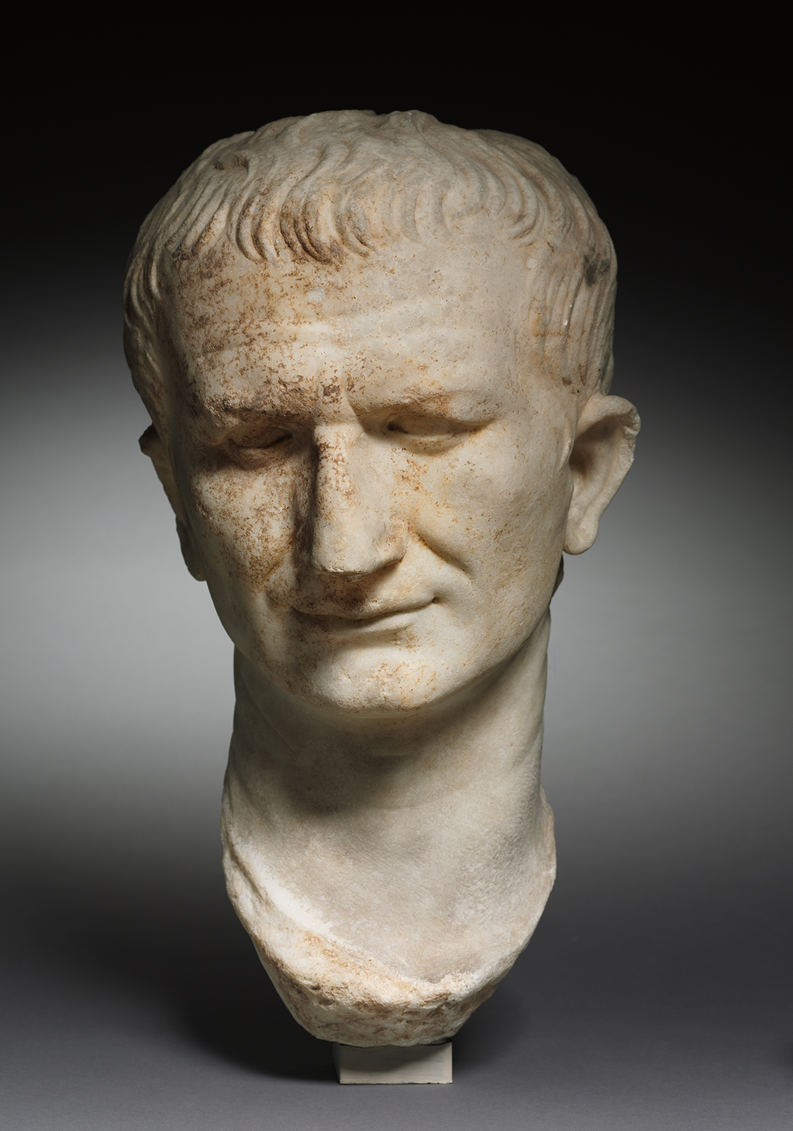 A marble bust of a man's head and neck