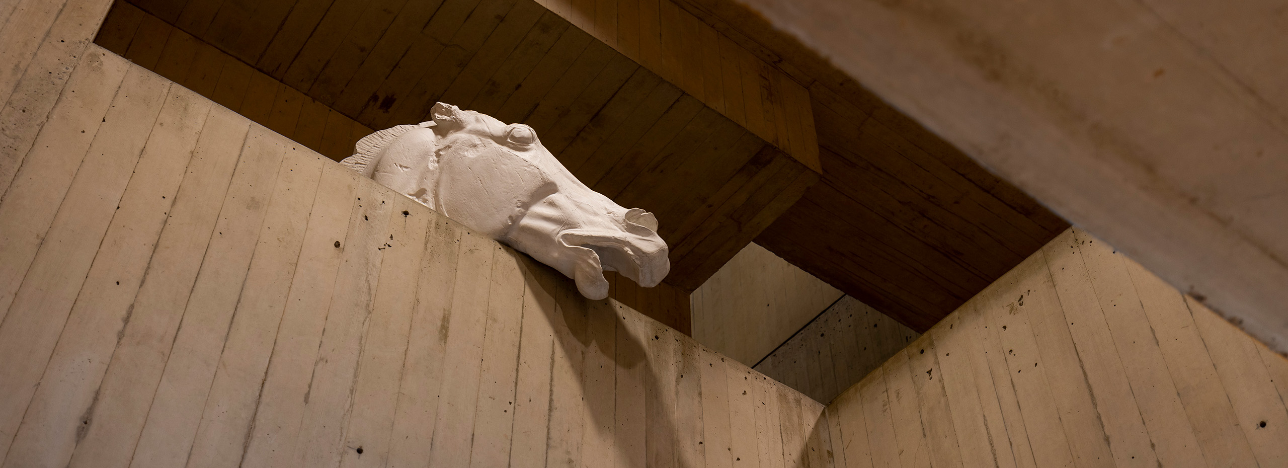 Looking up at a plaster cast of a horse head resting in a concrete museum alcove