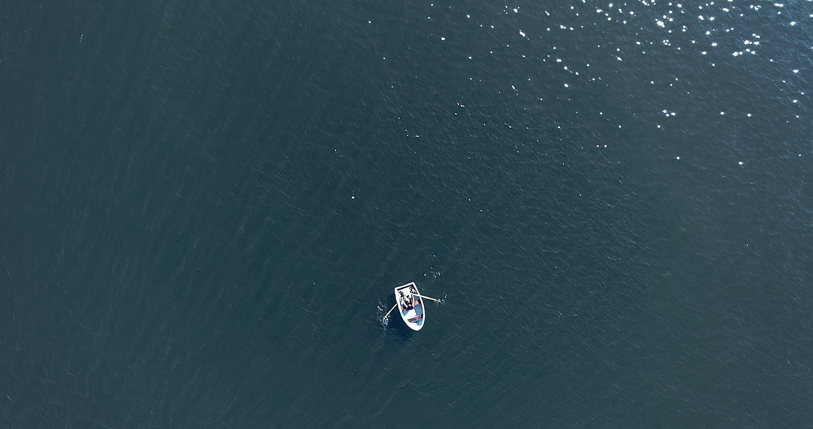 An aerial image of a rowboat in the water