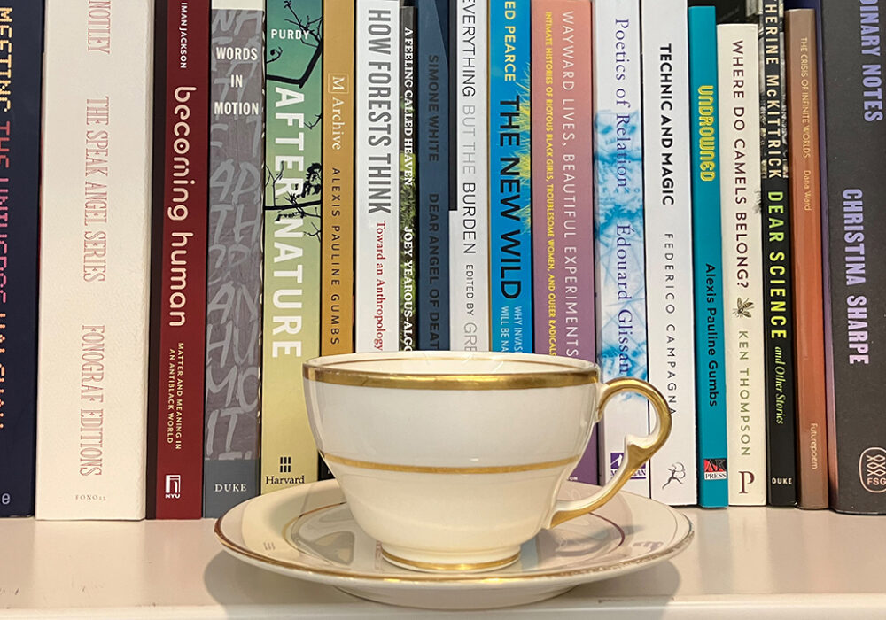 A photo of a tea cup and saucer on a bookshelf