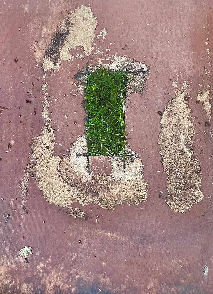 A photograph of a rectangle of green grass at the center of a chipped and pockmarked purplish surface