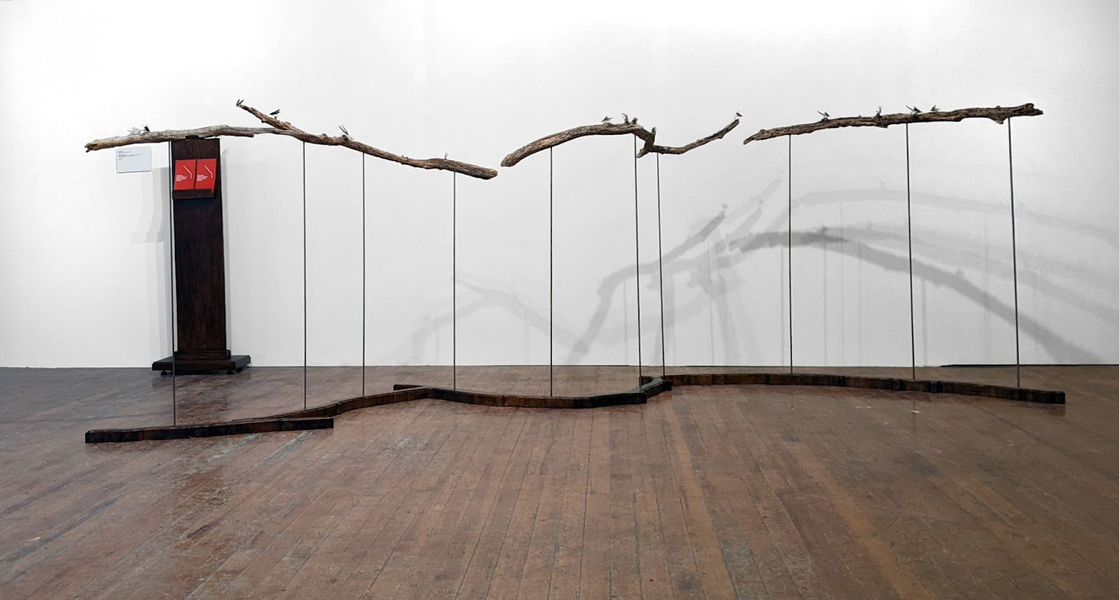 A gallery installation of tree branches mounded on rods in a room with white walls and a dark hardwood floor