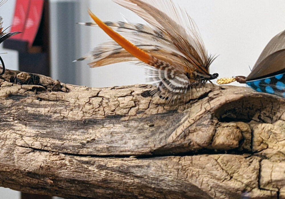 Fishing flies displayed on a piece of wood