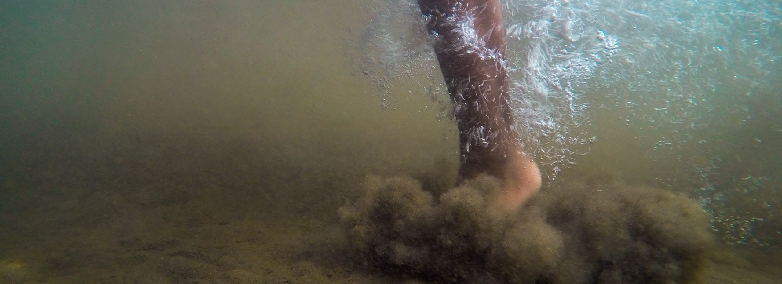 Detail of a photograph showing a Black leg stepping into underwater sand
