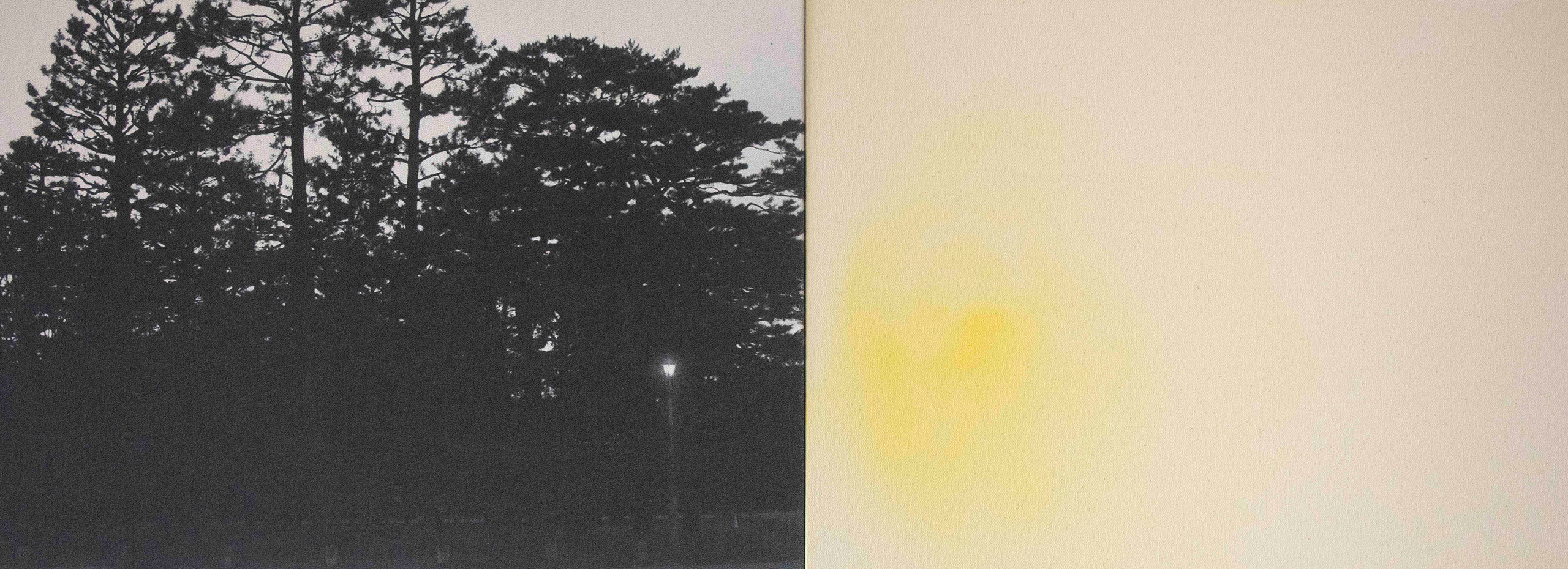 Side by side images of a dark tree and a yellow mark
