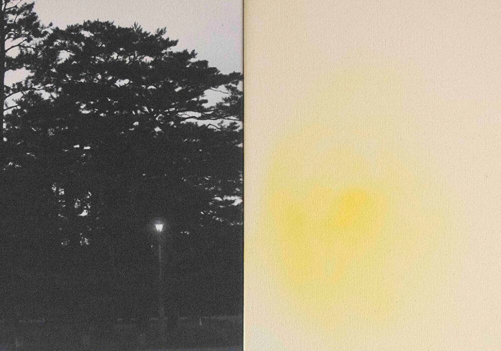 Side by side images of a dark tree and a yellow mark