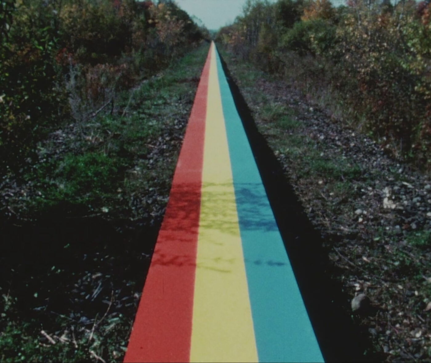 Video still of a long plank painting with red, yellow, blue, and black stripes extends into the distance between rows of green trees